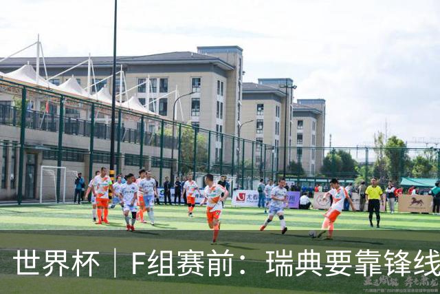 世界杯｜F组赛前：瑞典要靠锋线双星 突尼斯欲出线